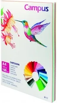 CARTULINA CAMPUS A4 180GR COLORES SURTIDO 100unid