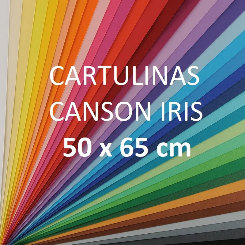 Cartulina Canson Iris  50x65 colores lisos