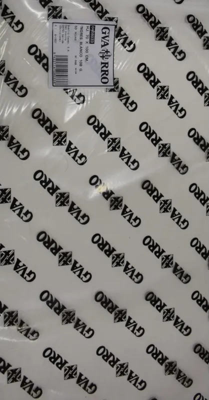 Láminas Ingres Canson 70X100