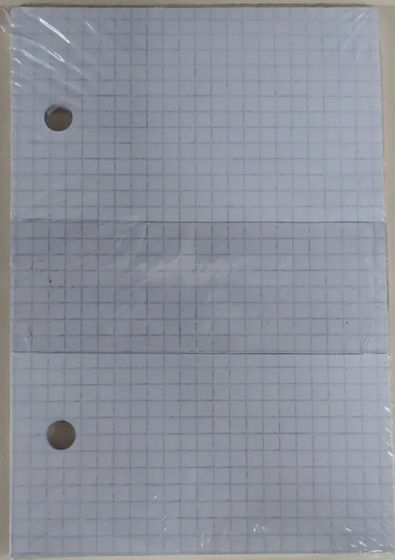 RECAMBIO OCTAVO 50HOJAS 2 TALADROS