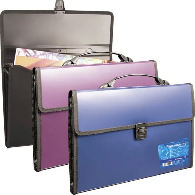 MALETIN ASA 2 DEPARTAMENTOS VIVID