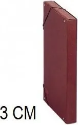 CARPETA PROYECTO Fº 3CM ROJO SARO