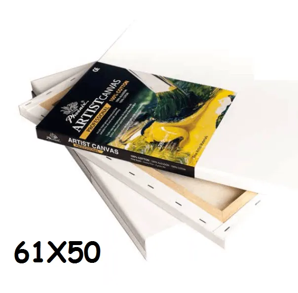 LIENZO PHOENIX PROFESSIONAL 12-F 61X50