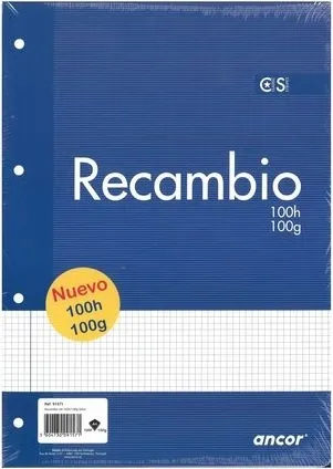 RECAMBIO A4 100 HOJAS CUADRO 100GR