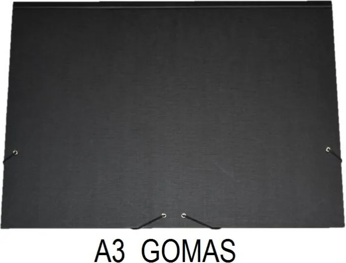 CARPETA CARTON A3 GOMAS FORRADO
