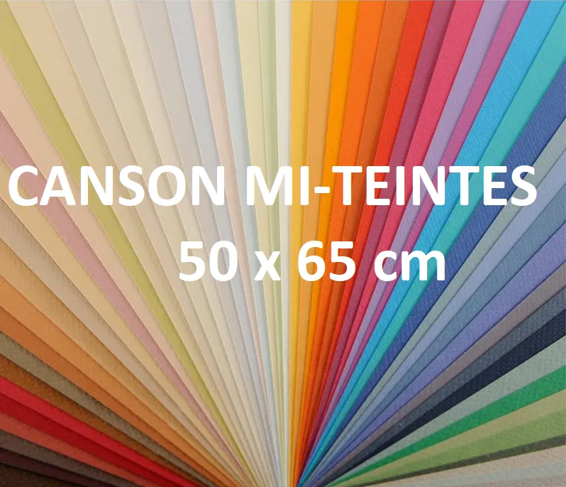 CARTULINA MI-TEINTES 50X65 (ENVASE 10UNID)